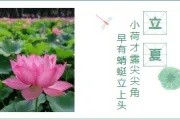 2026立夏推文怎么排才有意境？样式素材与排版全解析