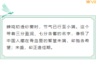 样式ID：159445 二十四节气小满边框内容绿色简约样式