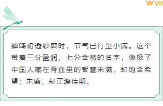 2026小满公众号排版不用愁|免费样式与模板一键获取 4 样式ID:159445 二十四节气小满边框内容绿色简约样式