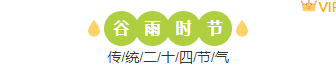 2026谷雨公众号排版攻略|节气风样式素材与实操指南 2 样式ID:158129 二十四节气谷雨主副标题绿色清新样式