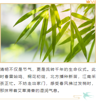 清明节公众号排版怎么做?2026精选样式素材与模板推荐 7 样式ID:157481 清明节上下图文简约古风绿色样式