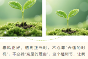 植树节公众号排版怎么做？2026年精选样式素材与模板推荐
