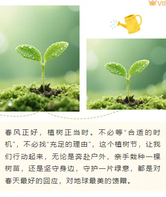 植树节公众号排版怎么做?2026年精选样式素材与模板推荐 7 样式ID:170140 植树节上下图文清新绿色黄色样式
