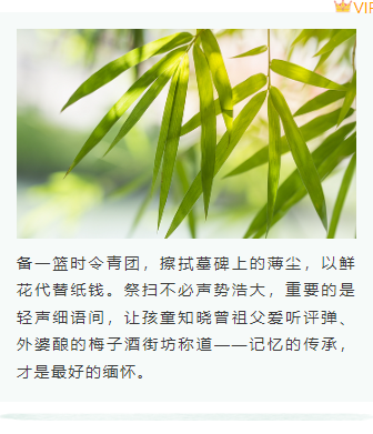 清明节公众号排版怎么做?2026精选样式素材与模板推荐 8 样式ID:157480 清明节上下图文简约古风绿色样式