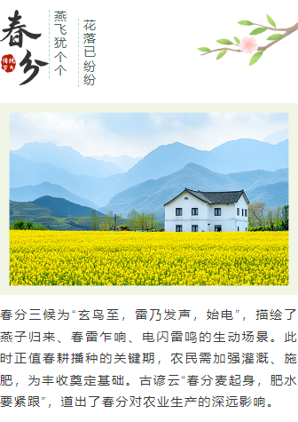 2026春分公众号排版指南:9款爆款样式+5套精选模板,一键搞定节气推文 9 样式ID:157035 春分节气上下图文简约绿色样式