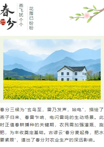 2026春分公众号排版指南:9款爆款样式+5套精选模板,一键搞定节气推文 9 样式ID:157035 春分节气上下图文简约绿色样式