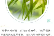清明节公众号排版怎么做？2026精选样式素材与模板推荐