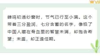 样式ID：159444 二十四节气小满底色内容绿色简约样式