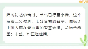 2026小满公众号排版不用愁|免费样式与模板一键获取 5 样式ID:159444 二十四节气小满底色内容绿色简约样式