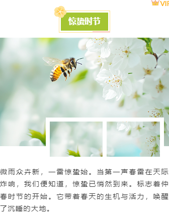 样式ID：156265 二十四节气惊蛰上下图文文艺绿色样式