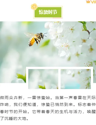 2026惊蛰公众号排版指南|清新节气风素材与样式推荐 7 样式ID:156265 二十四节气惊蛰上下图文文艺绿色样式
