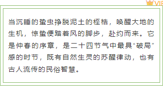 样式ID：169700 惊蛰节气边框内容清新绿色样式