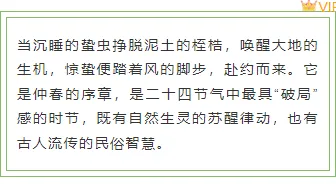 2026惊蛰公众号排版指南|清新节气风素材与样式推荐 4 样式ID:169700 惊蛰节气边框内容清新绿色样式