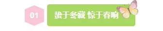 2026惊蛰公众号排版指南|清新节气风素材与样式推荐 2 样式ID:169711 惊蛰节气编号标题清新绿色样式