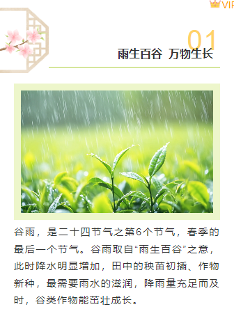 2026谷雨公众号排版攻略|节气风样式素材与实操指南 7 样式ID:158122 二十四节气谷雨上下图文绿色清新样式