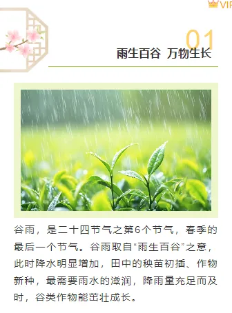 2026谷雨公众号排版攻略|节气风样式素材与实操指南 7 样式ID:158122 二十四节气谷雨上下图文绿色清新样式