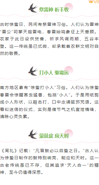样式ID：169696 惊蛰节气段落正文清新绿色样式