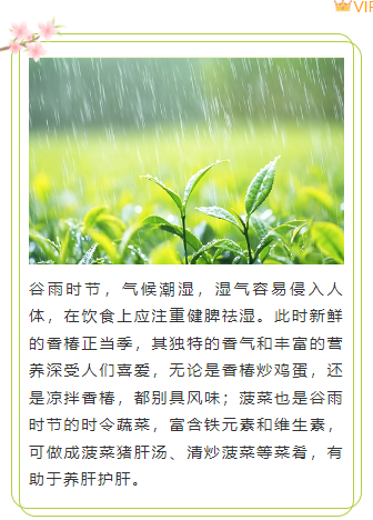 2026谷雨公众号排版攻略|节气风样式素材与实操指南 9 样式ID:158118 二十四节气谷雨双边框上下图文绿色清新样式