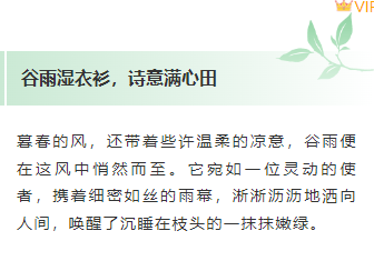 2026谷雨公众号排版攻略|节气风样式素材与实操指南 6 样式ID:158083 谷雨节气段落正文绿色样式