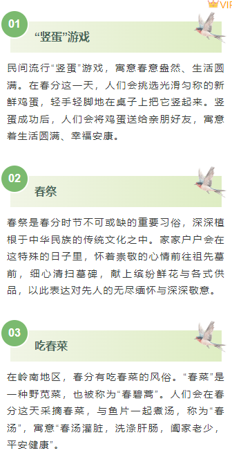 2026春分公众号排版指南:9款爆款样式+5套精选模板,一键搞定节气推文 4 样式ID:157034 春分节气段落正文简约绿色样式