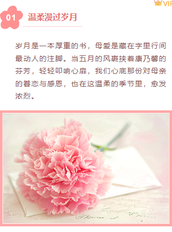 样式ID：158969 母亲节上下图文简约文艺黄色粉色样式