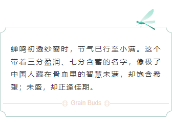 样式ID：159443 二十四节气小满边框内容绿色简约样式