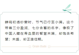2026小满公众号排版不用愁|免费样式与模板一键获取 6 样式ID:159443 二十四节气小满边框内容绿色简约样式