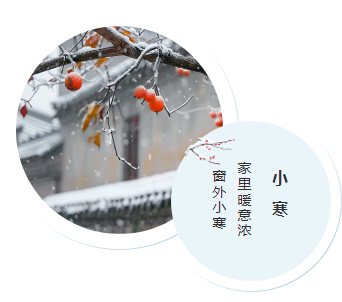 样式ID：108255 冬季蓝色简约小寒二十四节气左右图文圆图