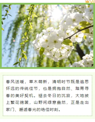 清明公众号排版怎么做?2026精选样式素材与模板推荐 9 样式ID:170849 清明踏青上下图文绿色卡通文艺清新样式