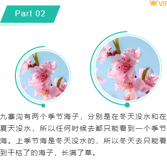 样式ID：98055 假期旅行旅游蓝绿色上下图文