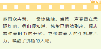 样式ID：156262 二十四节气惊蛰底色内容文艺绿色样式
