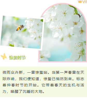 样式ID：156264 二十四节气惊蛰上下图文文艺绿色样式