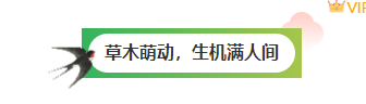 样式ID：168812 立春节气图片标题古风绿色样式