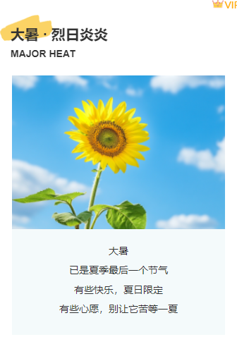 样式ID：115953 二十四节气大暑防暑上下图文