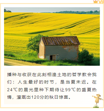 农业公众号排版怎么做?2026精选样式素材与模板推荐 9 样式ID:160059 芒种节气上下图文简约黄色绿色样式