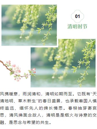 样式ID：170967 清明节上下图文清新绿色古风样式