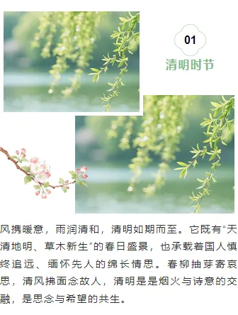 清明公众号排版怎么做?2026精选样式素材与模板推荐 7 样式ID:170967 清明节上下图文清新绿色古风样式