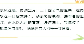 2026雨水公众号排版怎么做?5款必备样式+4套精选模板推荐 6 样式ID:169283 雨水节气边框内容绿色简约样式