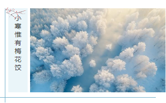 样式ID：108259 简约冬季蓝色小寒二十四节气边框左右图文