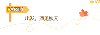 样式ID：165008 秋游编号标题文艺黄色样式