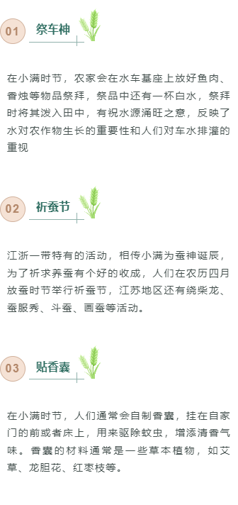 小满公众号排版不用愁|2026节气风样式模板免费获取指南 4 样式ID:159438 二十四节气小满段落正文绿色简约样式