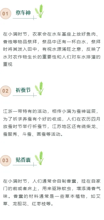 小满公众号排版不用愁|2026节气风样式模板免费获取指南 4 样式ID:159438 二十四节气小满段落正文绿色简约样式