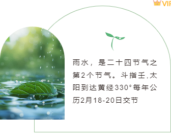 样式ID：109391 简约清新二十四节气雨水绿色边框左右圆角图文