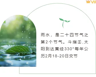 2026雨水公众号排版怎么做?5款必备样式+4套精选模板推荐 8 样式ID:109391 简约清新二十四节气雨水绿色边框左右圆角图文