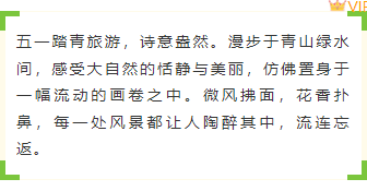 样式ID：171656 五一出游底色内容绿色黄色清新样式