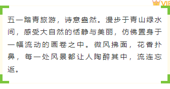 样式ID：171656 五一出游底色内容绿色黄色清新样式