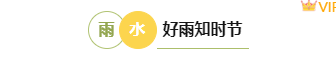 样式ID：155707 二十四节气雨水框线标题简约清新绿色样式