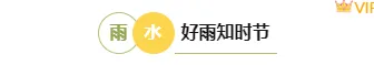 2026雨水公众号排版怎么做?5款必备样式+4套精选模板推荐 3 样式ID:155707 二十四节气雨水框线标题简约清新绿色样式