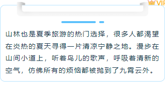 样式ID：161550 暑期出游边框内容文艺蓝色黄色样式