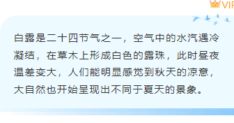 样式ID：163609 白露节气底色内容古风蓝色样式